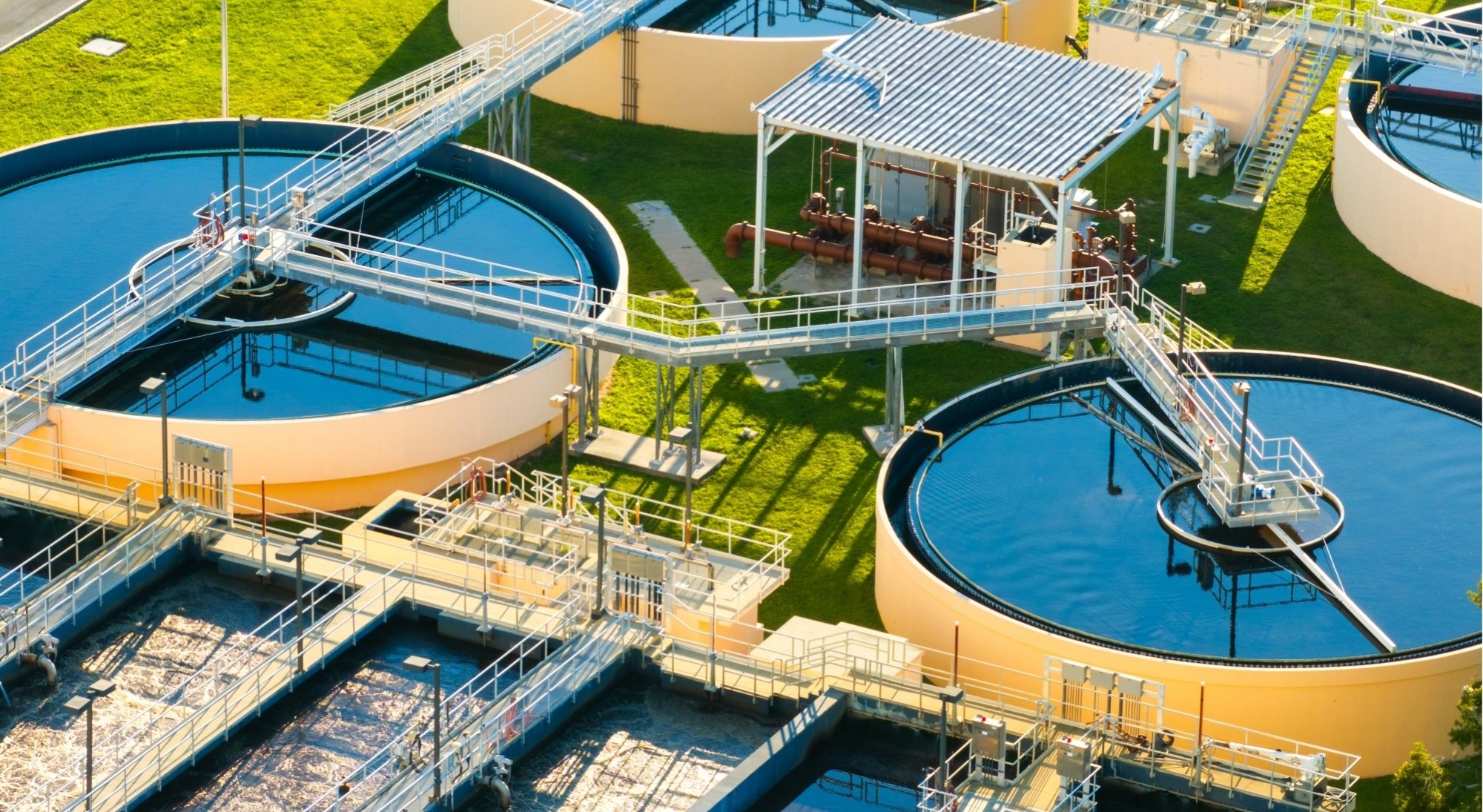 Water Plant